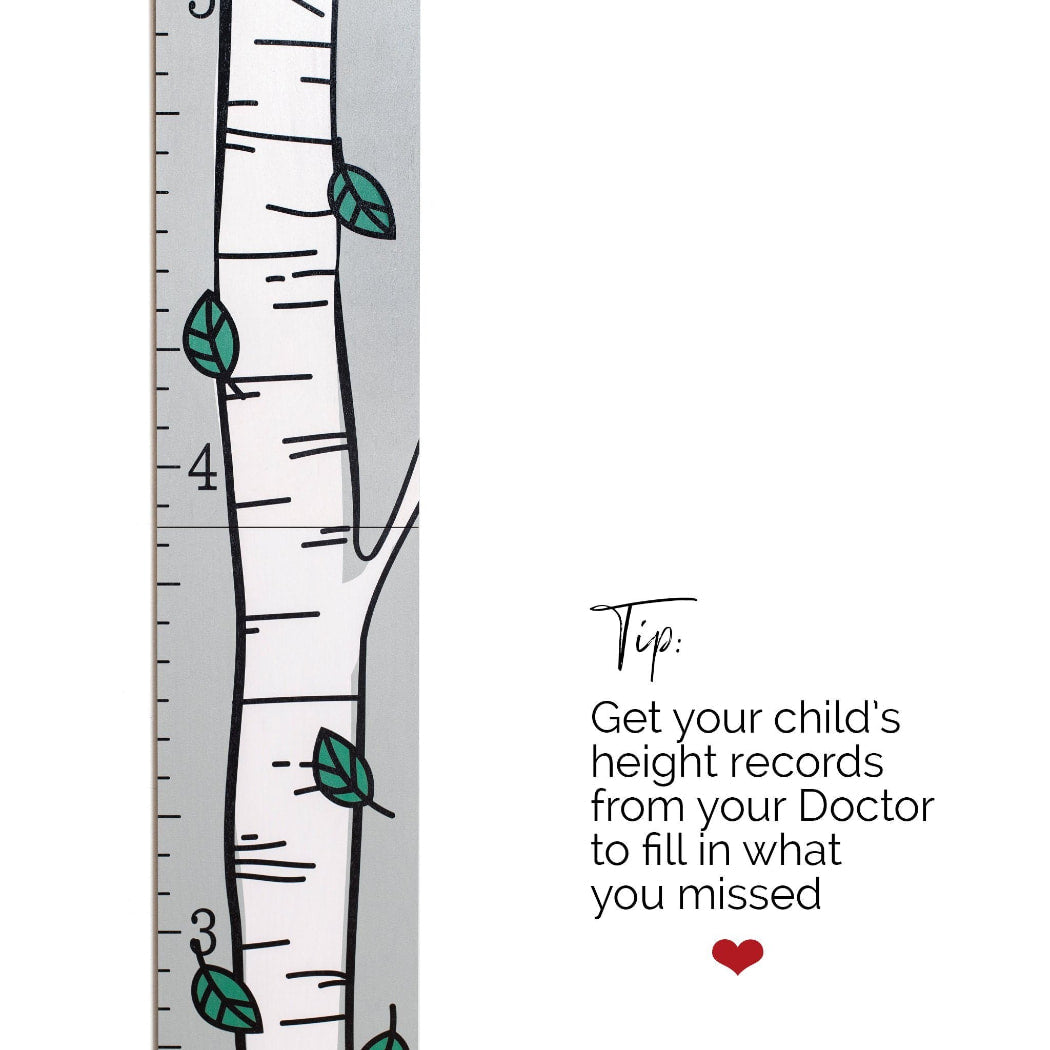 Birch Tree Growth Chart for Boys & Girls