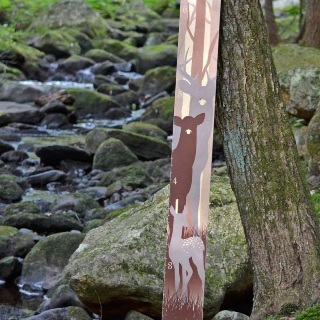 Deer Family Wood Growth Chart