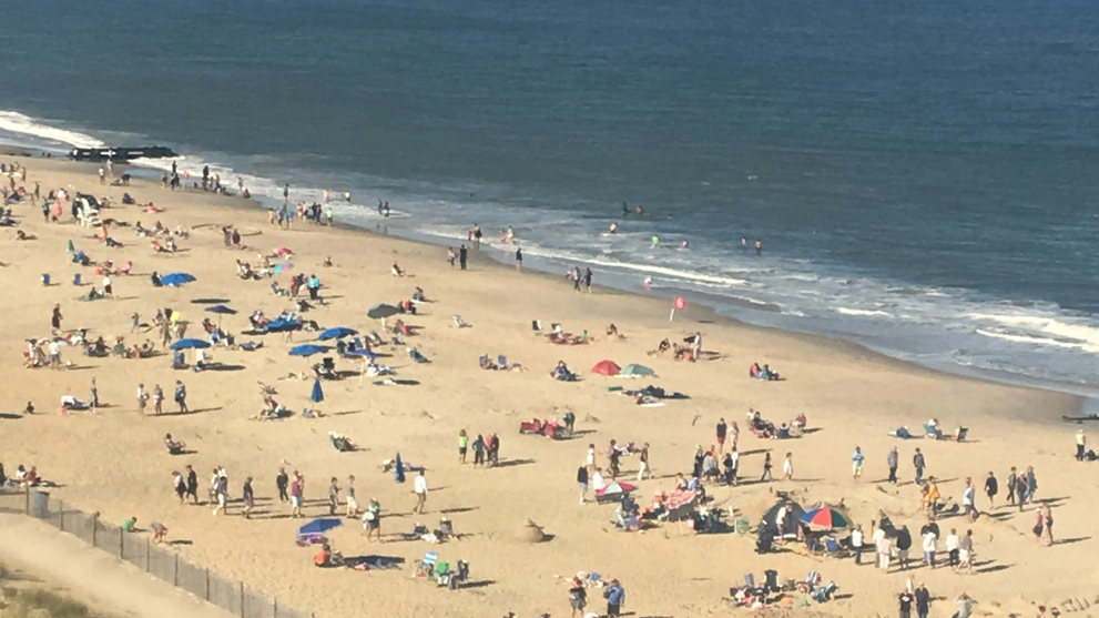 Best Beaches On The East Coast For Families & Pets