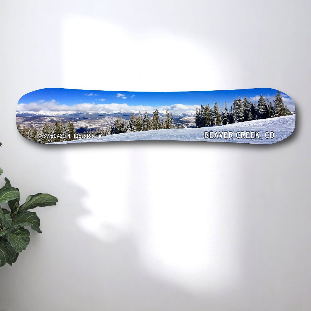 送料無料！COLORADO SNOW BOARDS スノーボード CSB CSB特集 | Victoria Surf & Snow楽天市場支店