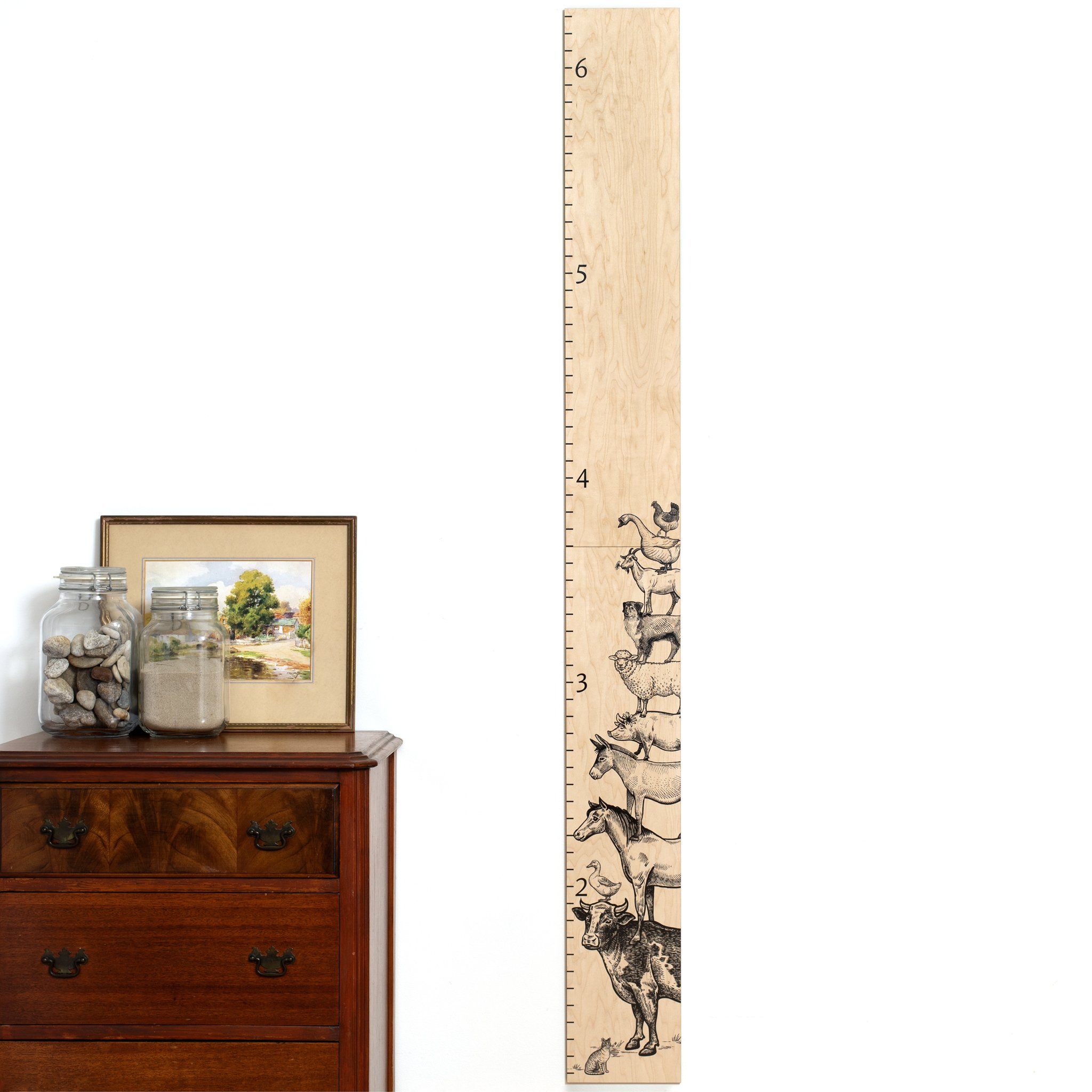 Wooden Feather Shaped Growth Chart