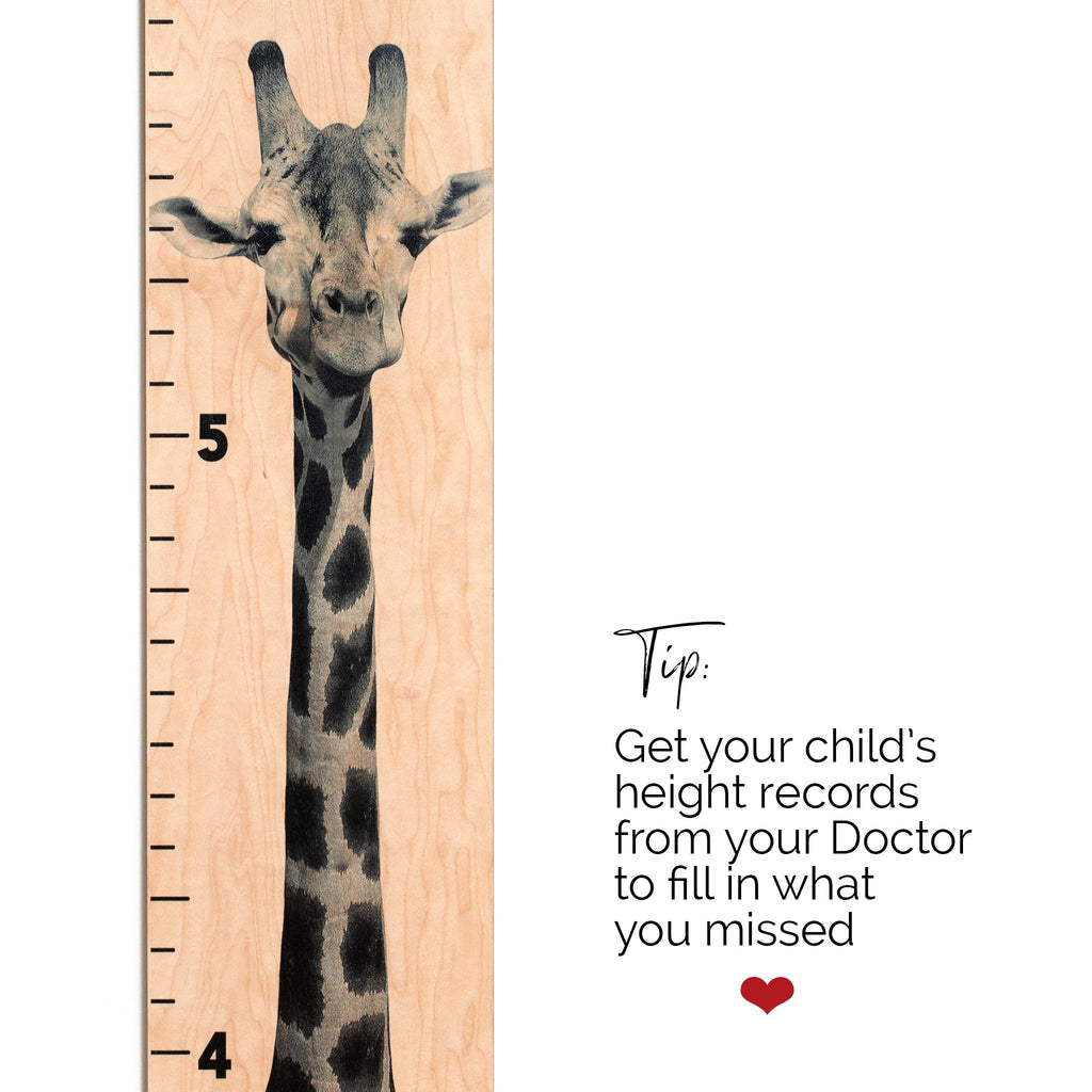 Two Piece Giraffe Growth Chart Growth Chart Headwaters Studio 