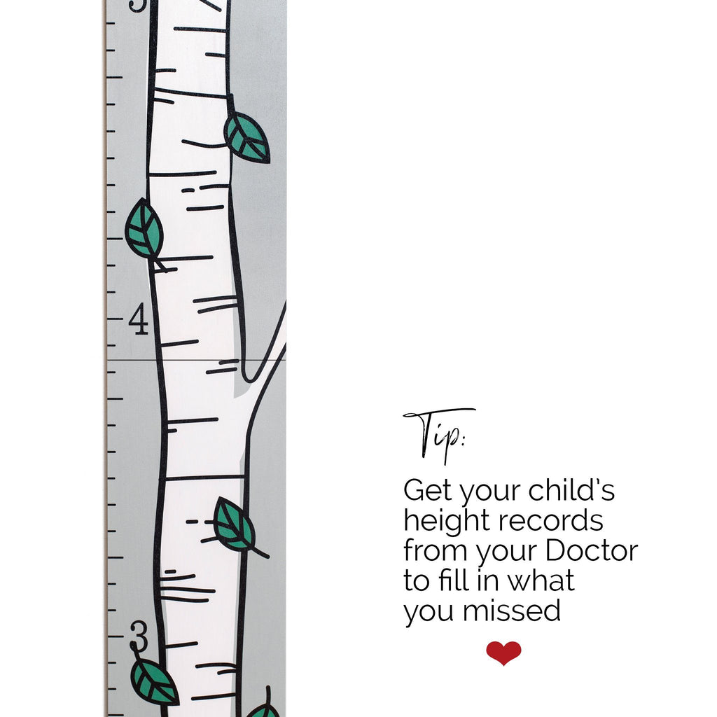 Birch Tree Growth Chart Growth Chart Headwaters Studio Green Leaves No 
