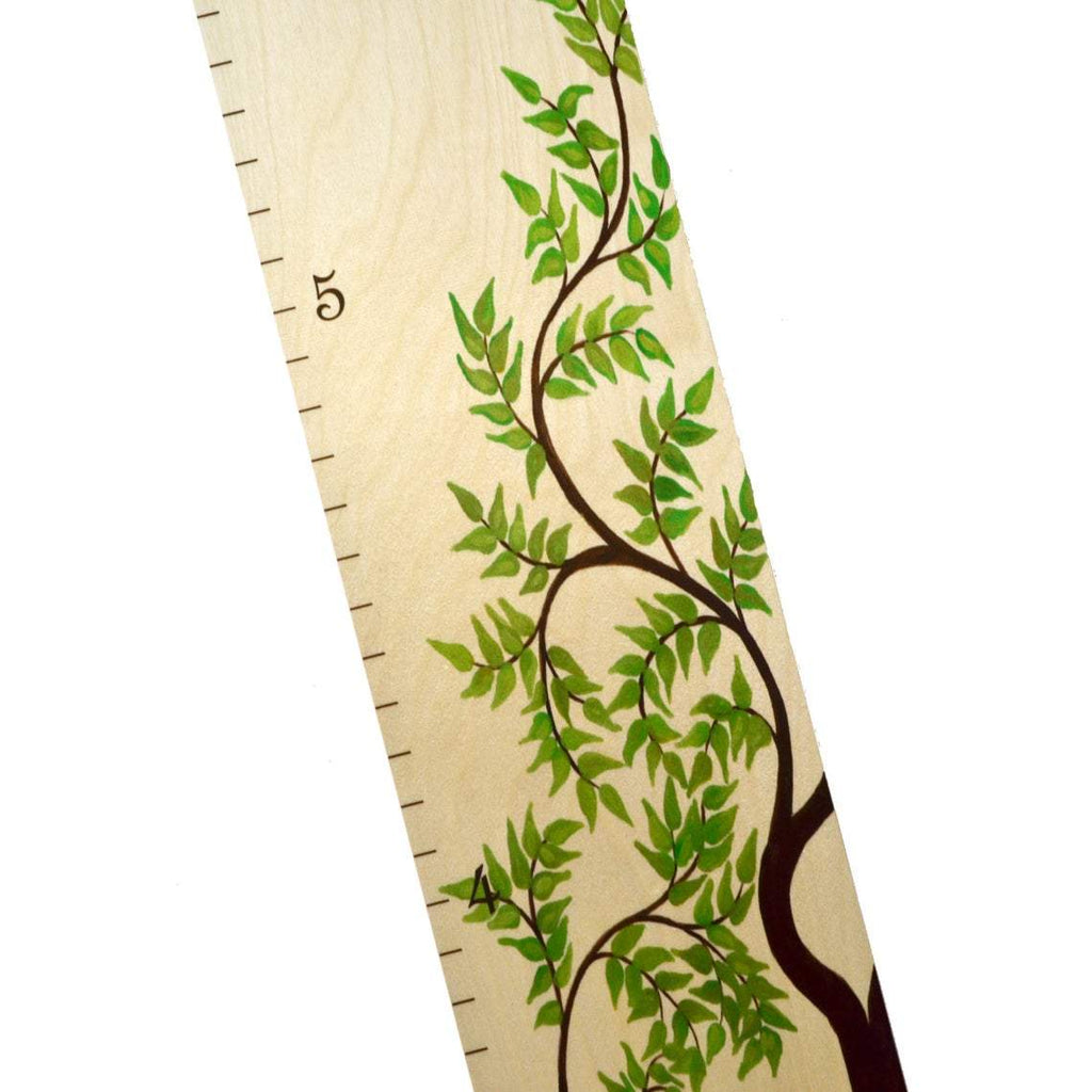 Wide Tree Of Life Growth Chart Headwaters Studio 