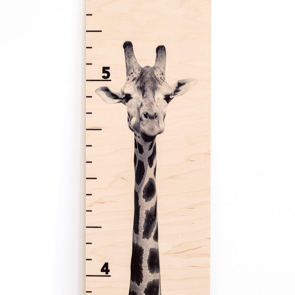 Giraffe Growth Chart | Giraffe Decor | Safari Room | Wood Growth Chart | Baby Shower Gift | Safari Animals Decor | Safari Baby Headwaters Studio 