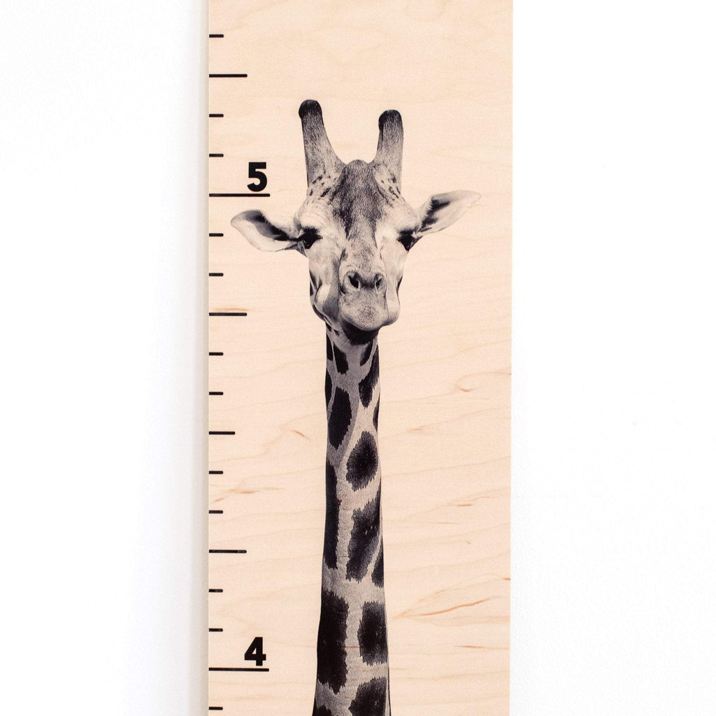 Giraffe Growth Chart | Giraffe Decor | Safari Room | Wood Growth Chart | Baby Shower Gift | Safari Animals Decor | Safari Baby Headwaters Studio 